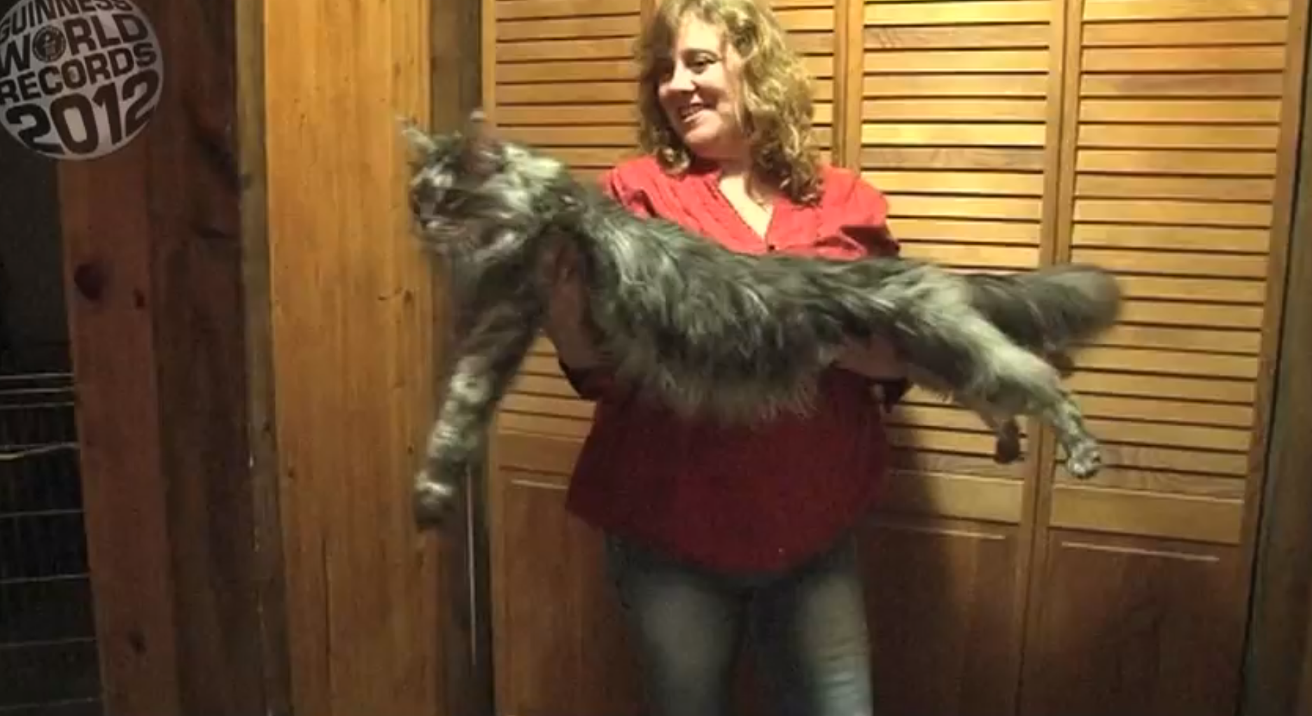 skinny the cat, Nytt, Hem